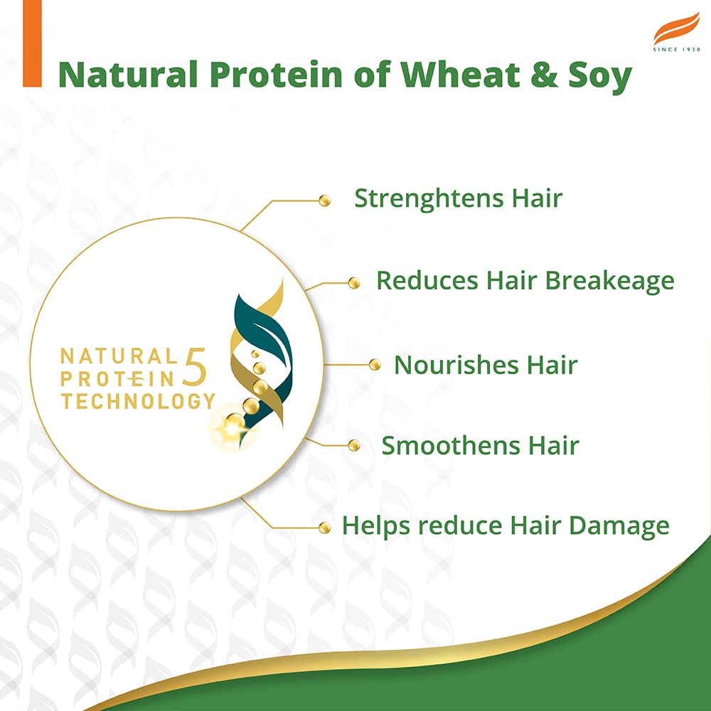 Himalaya Gentle Daily Care Protein Shampoo for Soft, Shiny, Healthy-Looking Hair, 13.53 oz, 2 Pack