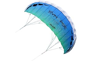 Prism Kite Technology Synapse Dual-Line Parafoil Kite: Perfect for Kids and Adults...
