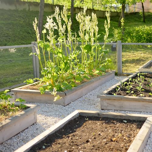 CCLIFE Hühnerzaun Geflügelnetz , Maschenweite 6.3 mm , Höhe 100 cm , Länge 2/5 m , Verzinkt Silber