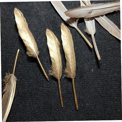Plumas hermosas para decorar jarrones y arreglos florales 6