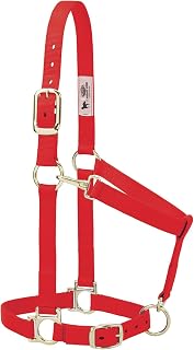 Weaver Equine Nylon Horse Halter, Average Horse, Padded & Adjustable, 1 in