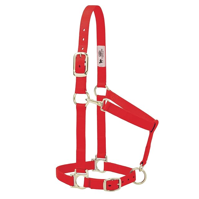 Weaver Leather Cabestro básico Ajustable de Nailon, Rojo, Caballo Promedio de 1 Pulgada