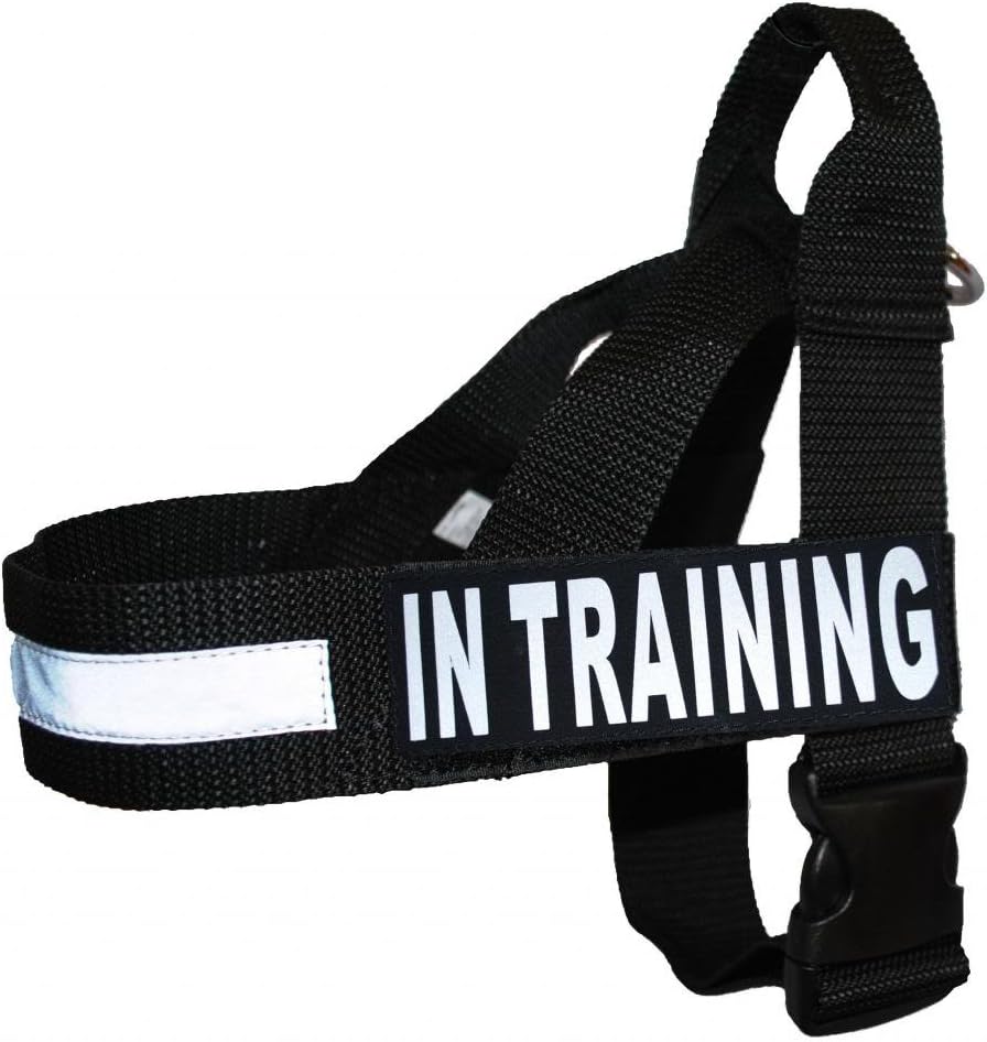 Doggie Stylz in Training Nylon Strap Service Dog Harness No Pull Guide Assistance Comes with 2 Reflective in Training Removable Patches. Please Measure Your Dog Before Ordering.
