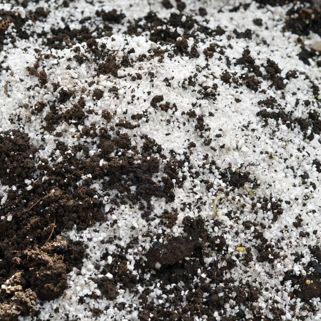 Perlite 125L Garten-Perlit für Pflanzen zur Bodenverbesserung Bauwesen Substrat ideal für Garten und Zimmerpflanzen