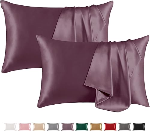 THXSILK Juego de 2 fundas de almohada de seda de morera para cabello y piel con cremallera oculta, seda de morera real en ambos lados, fundas de