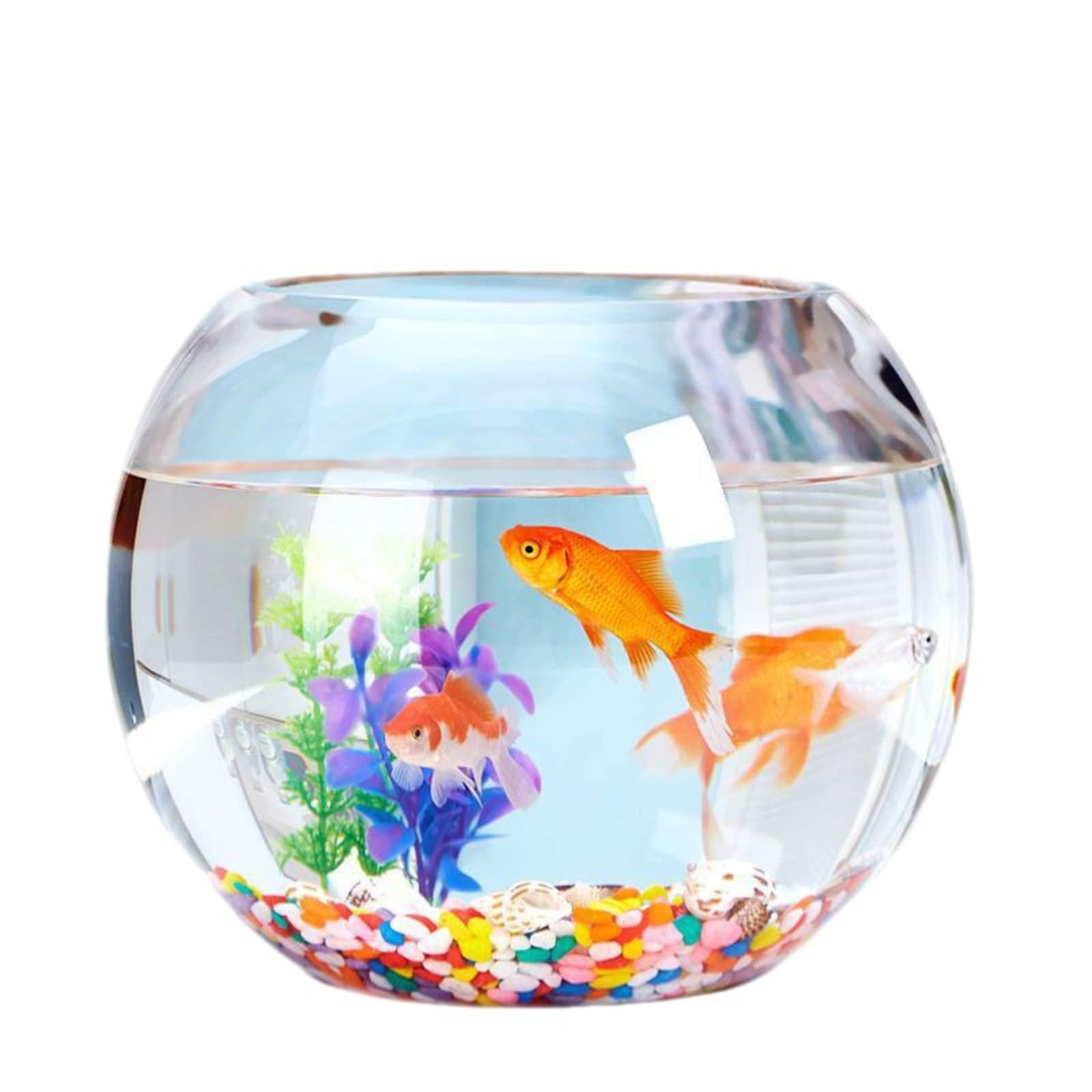 Amazon | 水槽 金魚鉢 ガラス丸型 水槽 丸型金魚鉢 高プラスチック透明