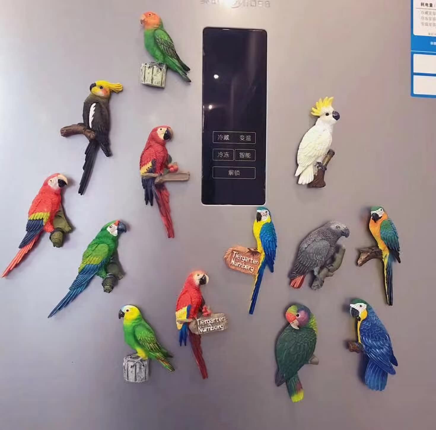 Aruba 3D Macaw Parrot Refrigerator Magnet - Resin Travel Souvenir Collection