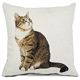 Cat Decorative Throw Pillow Covers Cotton Linen Square Cushion Covers Animal Kitty Pillow Cases for