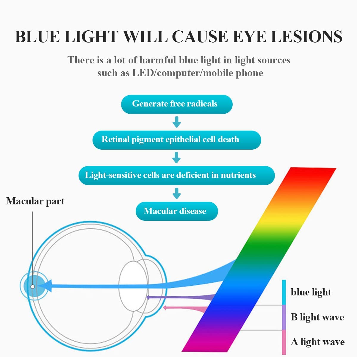 RICCIE Gafas de Lectura HD de Titanio Puro contra la luz Azul, 1,56 Lentes de Resina asférica/antirradiación Gafas dioptrías +1,0 a +3,0,01,+1.5