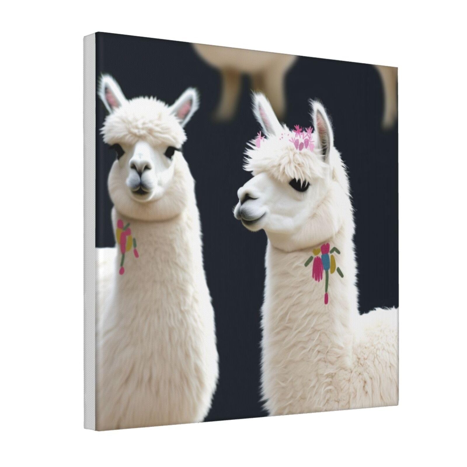 YKLJG Alpaca Llama Printed Canvas Wall Art 30x30 CM - Square Decorative Artworks Pictures Print Painting Framed Artwork for Bedroom, Living Room & Office