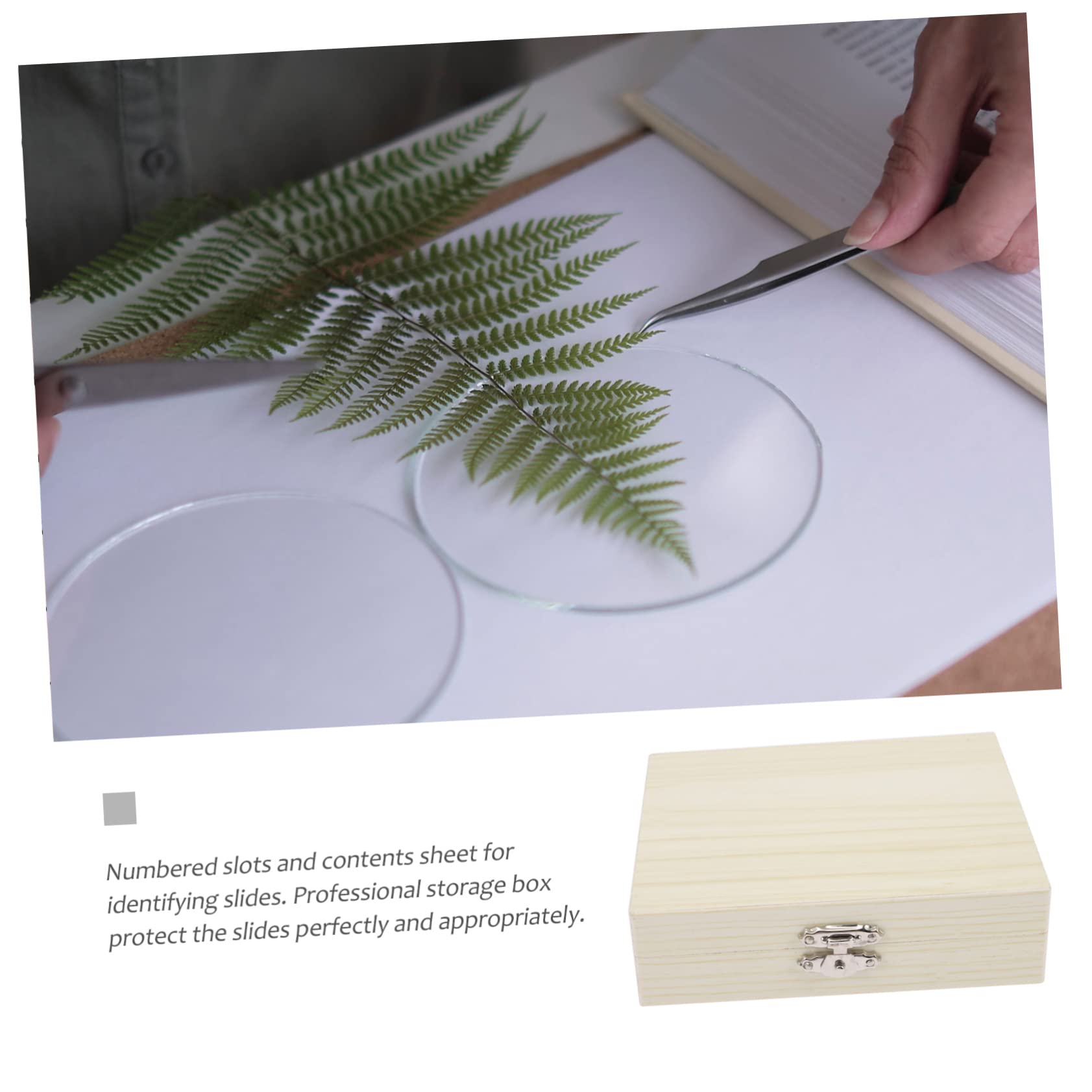 PRETYZOOM 3Er-Packung Biologische Slice-Box vorbereitet Container Lagerung Kästen für Mikroskop-Objektträger werkzeug Mikroskop -Schleifbehälter Halter für Mikroskop-Objektträger Holz Beige