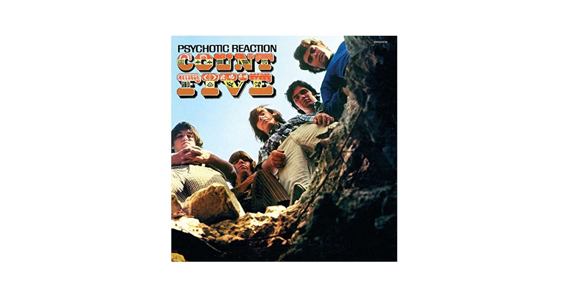 Amazon.com: Psychotic Reaction[LP]: CDs & Vinyl