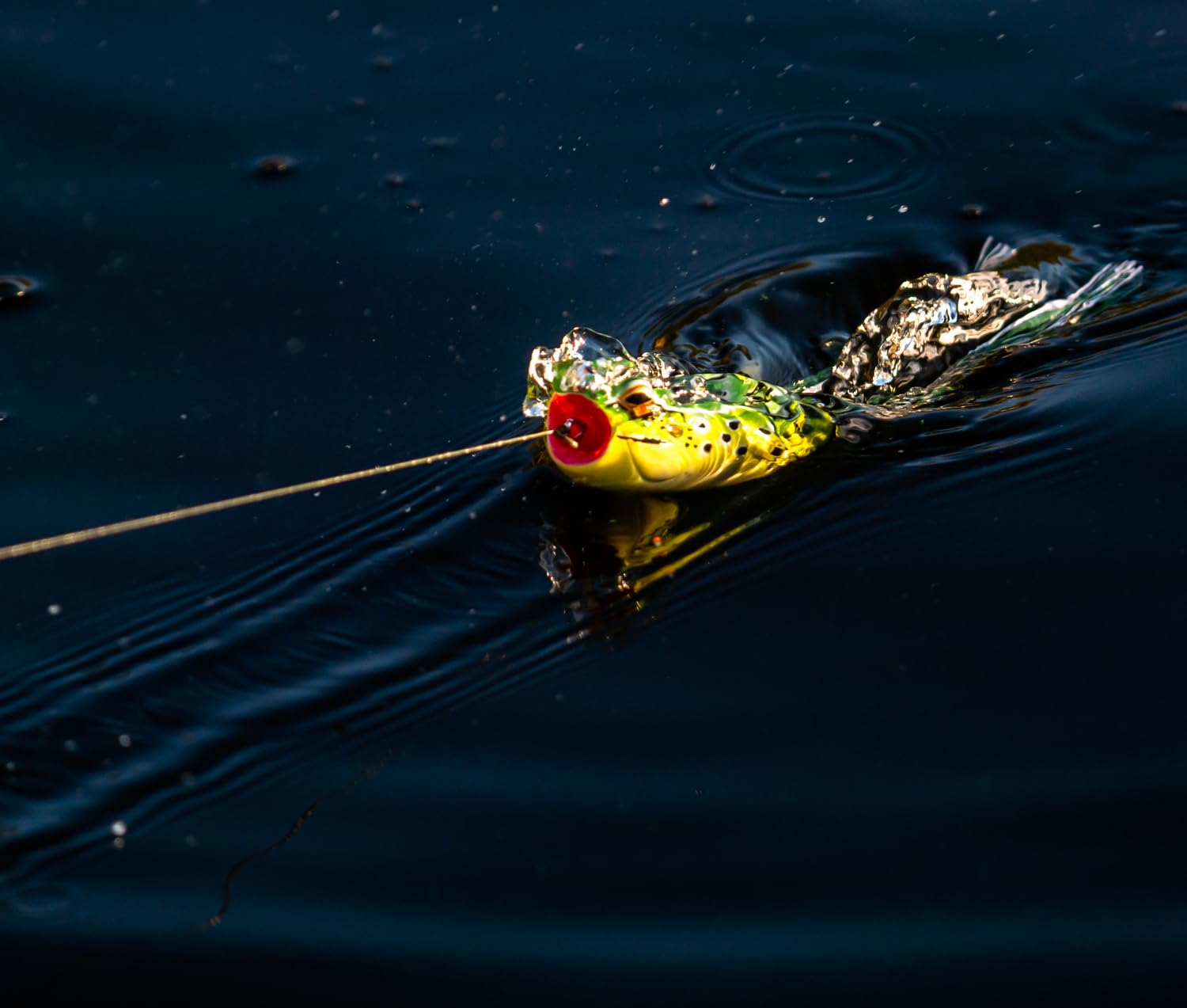 Leurre souple D Popper Frog de Daiwa pour la pêche en surface