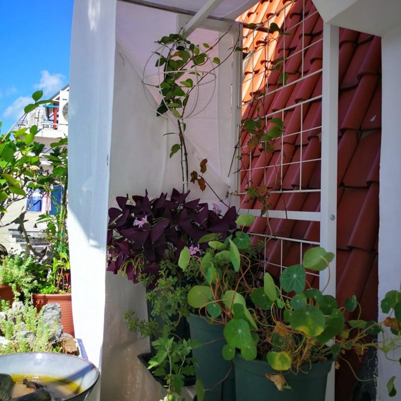 Sichtschutz Terrasse 95% Schattierung Verdicken Weiß HDPE Sonnenschutznetz Pergolen Baldachin Sonnenschutz Garten Haus Balkon Sichtschutz(5m x 6m)