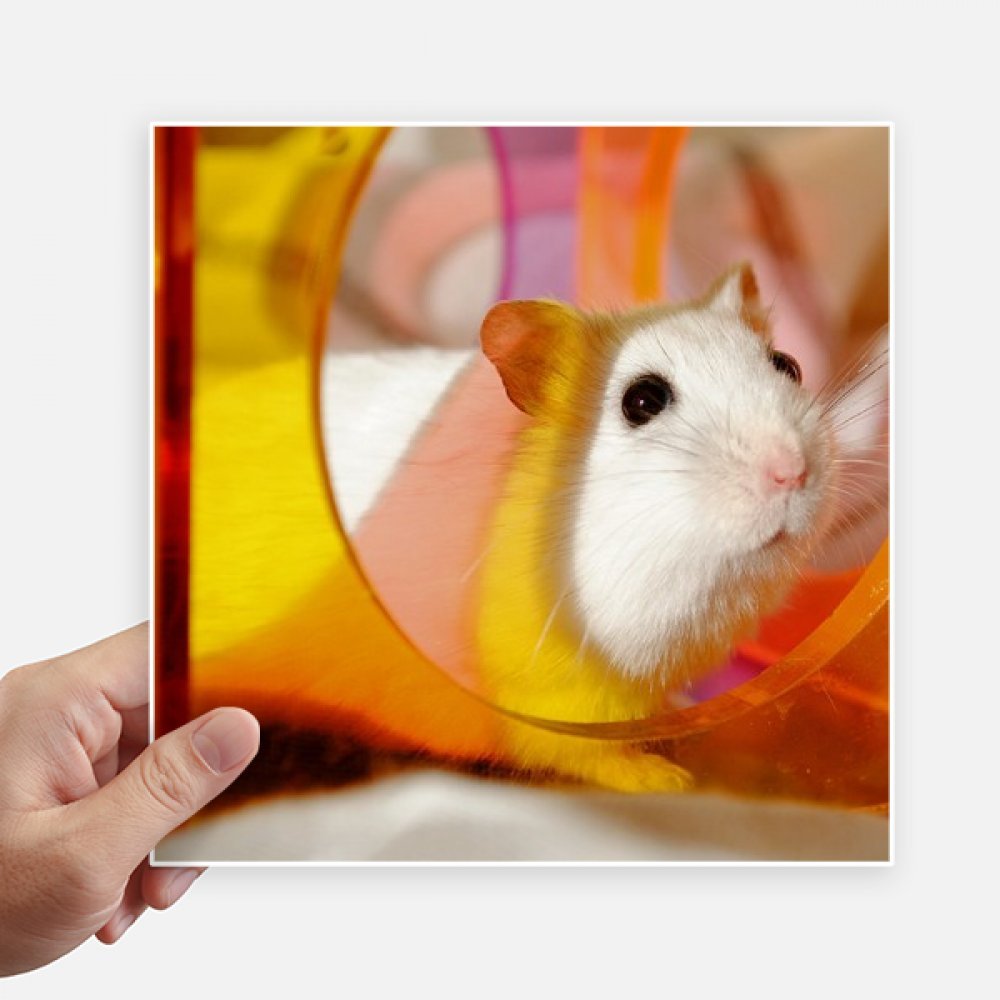 Jouets autocollants rat blanc pour personnaliser vos valises