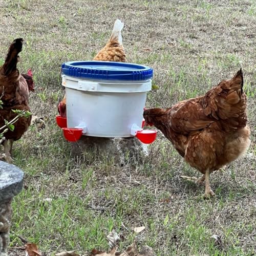 Chicken Waterer Cups, 12 Packs Poultry Water Feeder with Drill, Large Poultry Waterer Automatic Waterer for Chicken Coop, Duck, Chicks, Goose, Turkey, Bunny, Bird (Red, 12 Pack) - Thumbnail 4