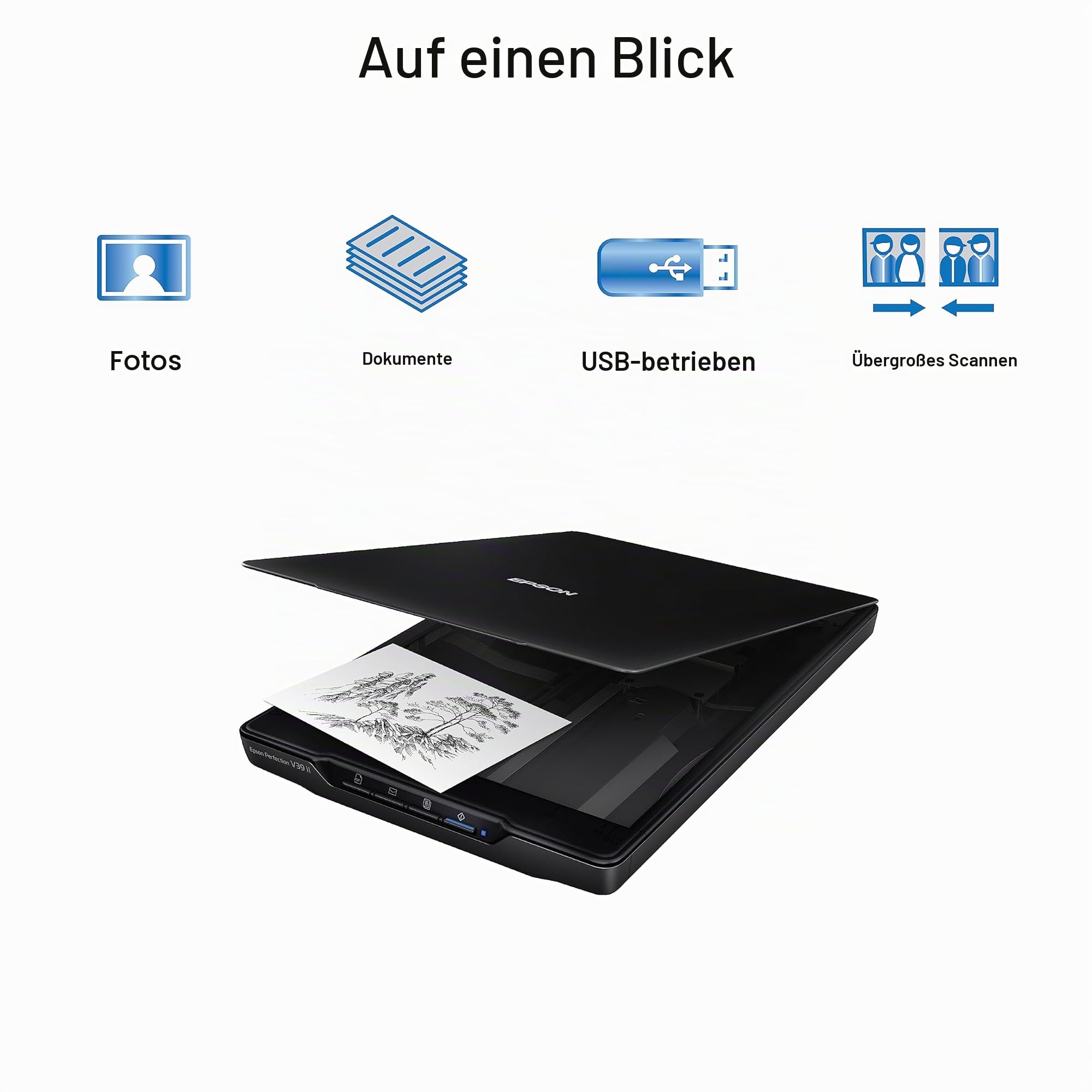 Epson Perfection V39 II Farbfoto- und Dokumenten-Flachbettscanner 4800 DPI optische Auflösung USB-Stromversorgung