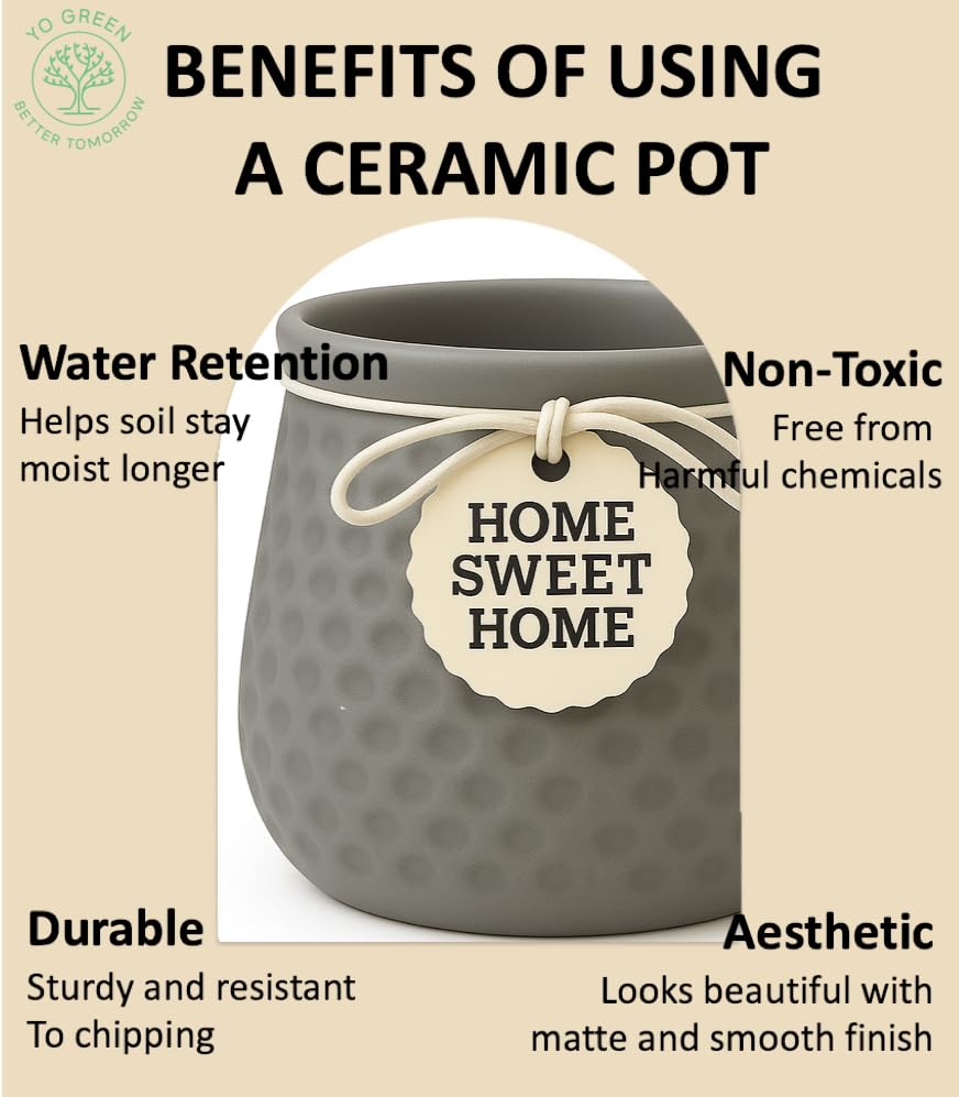 Image of Yo Green Ceramic Plant Pot for Indoor & Outdoor, Modern Planter for Home & Office Decor, Durable, Stylish Finish, Ideal for Tabletop, Shelf, Balcony, Great Gift Idea (Grey, 4 Inches)