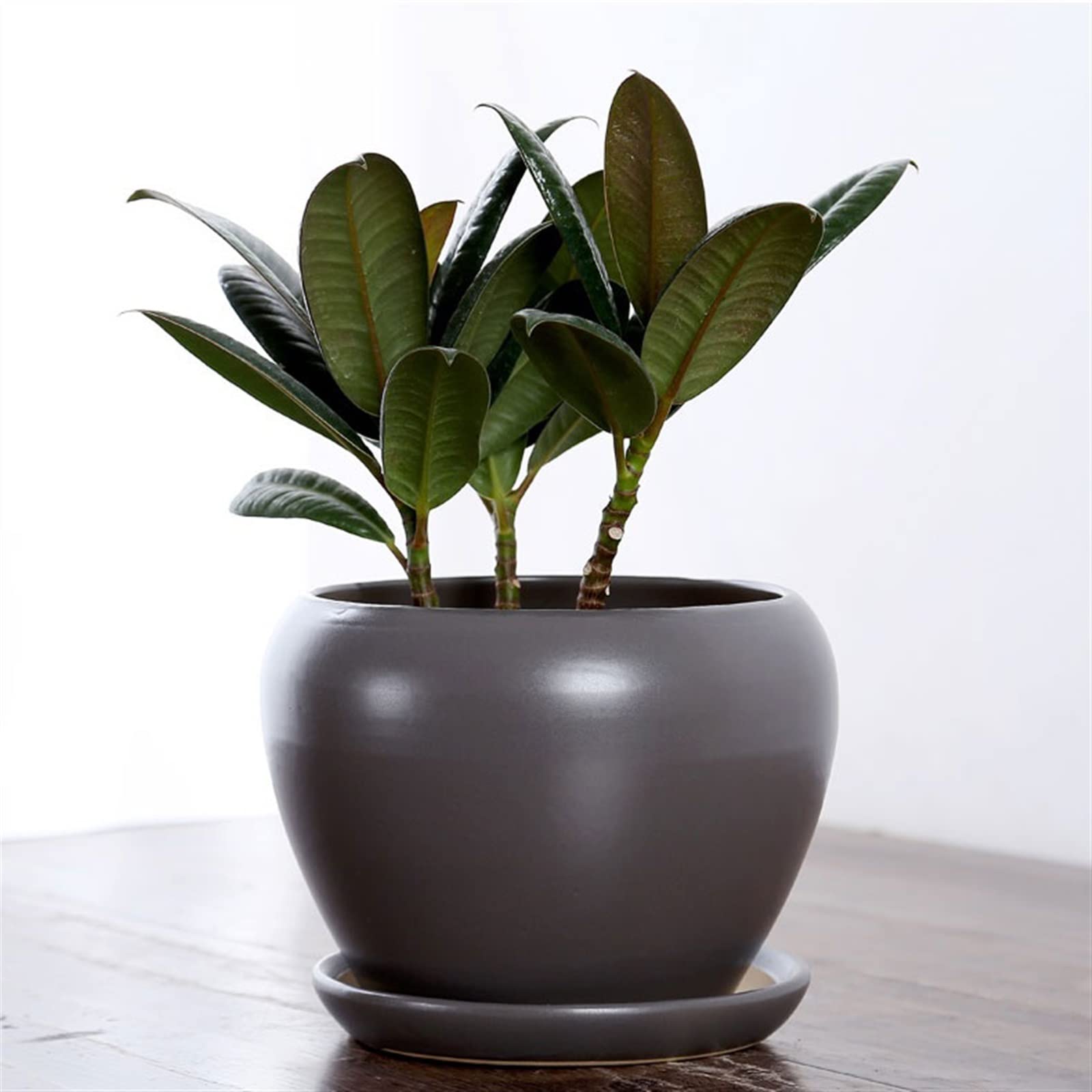 Zewnętrzne doniczki ogrodowe duża doniczka na rośliny prosta ceramiczna doniczka na kwiaty z tacą otwory drenażowe odpowiednia do sukulentów Phalaenopsis małych doniczek z otworami drenażowymi (kolor: N)