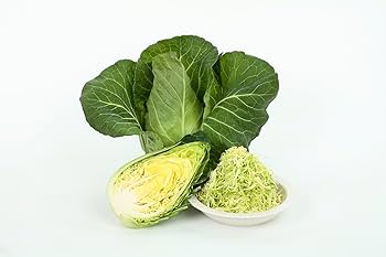 Amazon | サカタのタネ 実咲野菜2010 やわらかたけのこキャベツ みさき