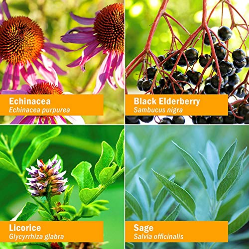 Herb Pharm Kids Certified-Organic Alcohol-Free Throat Tlc Herbal Spray, 1 Ounce #TOP1