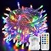 echosari 100 LEDs Outdoor LED Fairy String Lights Battery Operated with Remote (Dimmable, Timer, 8 Modes) - Multicolor