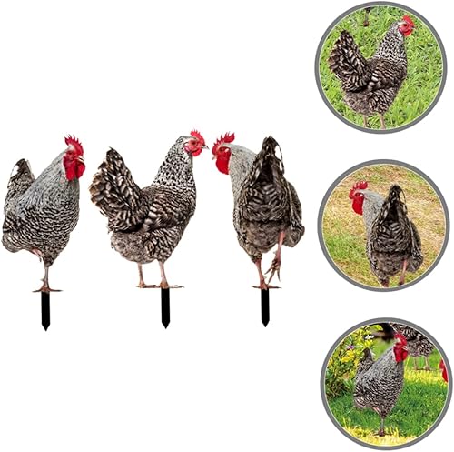 Miniatura 4 de 3 piezas decorativas de jardín, escultura de patio de pollo, césped, figura de aves de corral, estatuas de jardín, estatuas de jardín, estaca de