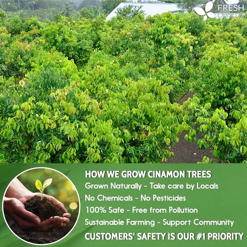 Image of 50+ (3oz) Natural Cinnamon Leaves, Whole Dried Cinnamon Leaves, 100% Pure from Dried Cinnamon Leaves, Cinnamon Leaf Tea, No Additives, No Caffeine, Vegan