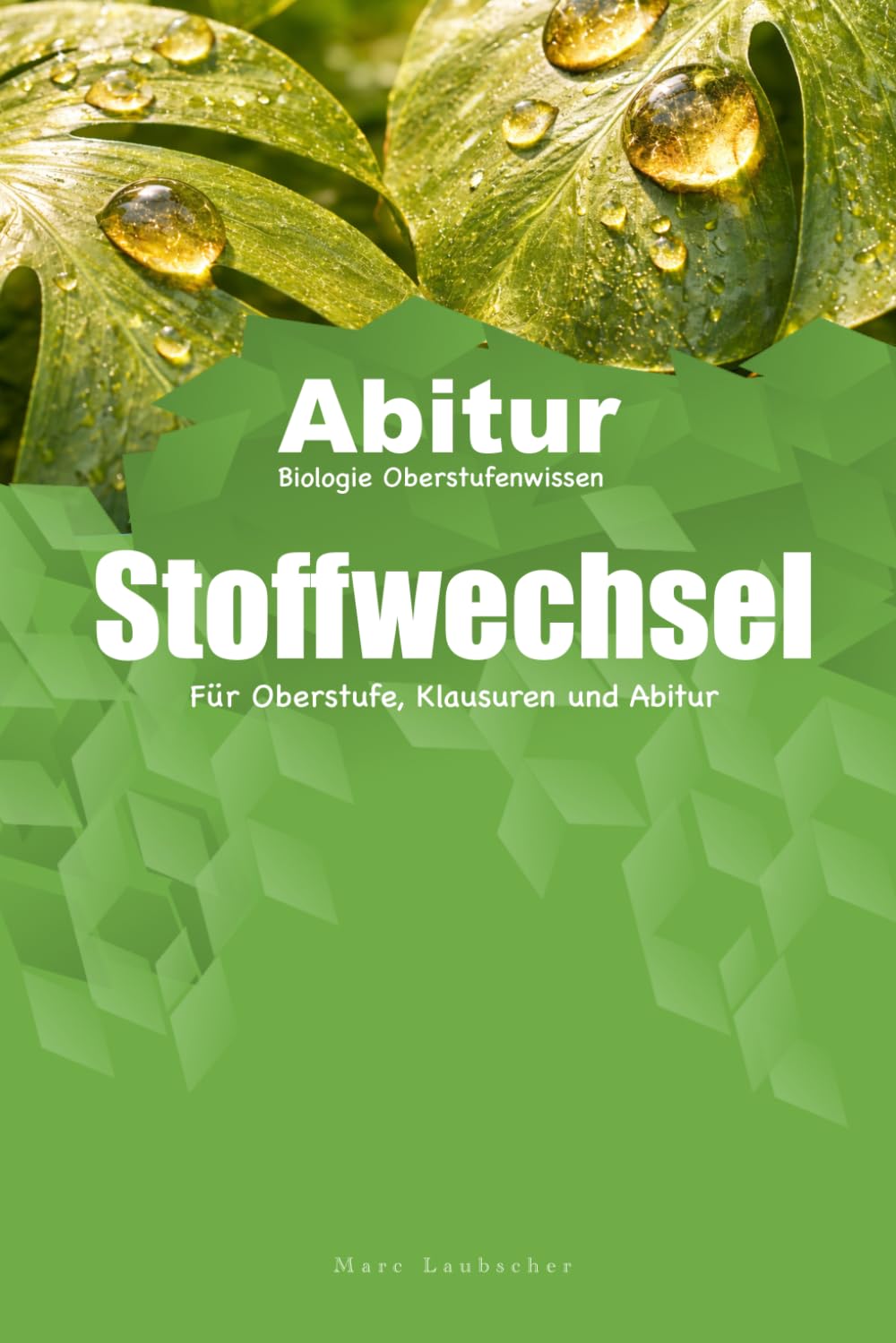 Stoffwechsel: Für Oberstufe, Klausuren und Abitur (Laubscher Oberstufenwissen – Biologie)