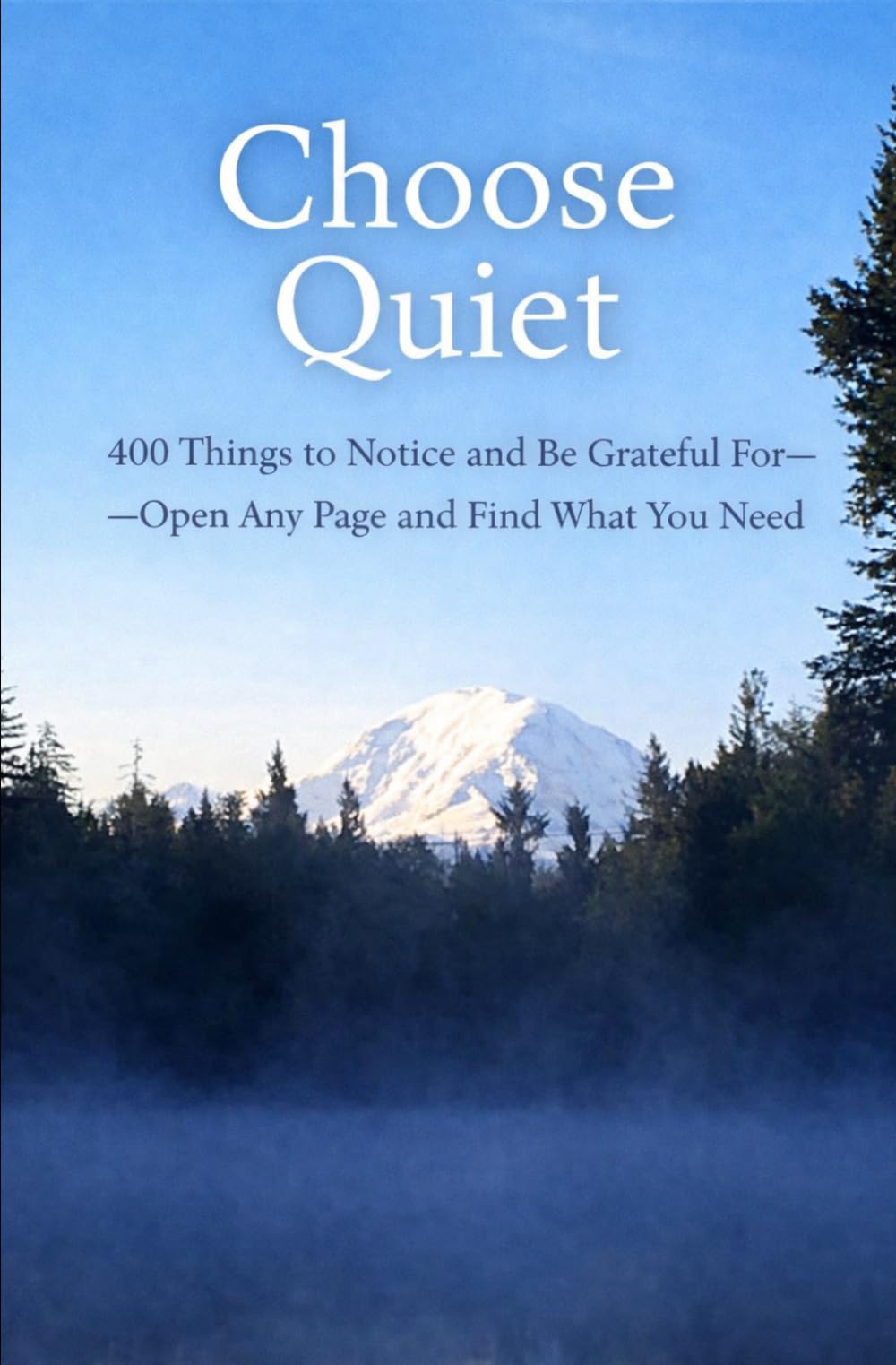 Choose Quiet: 400 Things to Notice and Be Grateful For — Open Any Page and Find What You Need