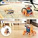 STEM 13-in-1 Education Solar Robot Toys for Age 8-12, DIY Building Science Experiment Robots Kit Birthday Gifts for 8 9 10 11 12 Years Old Boys Girls Kids Teens, Solar Powered by The Sun