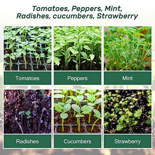 Bonviee-5-Pack-Seed-Starter-Trays-Seed-Starter-Kit-with-Adjustable-Humidity-Dome-and-Base-Indoor-Greenhouse-Mini-Propagator-for-Seeds-Growing-Starting-12-Cells-Per-Tray-Green
