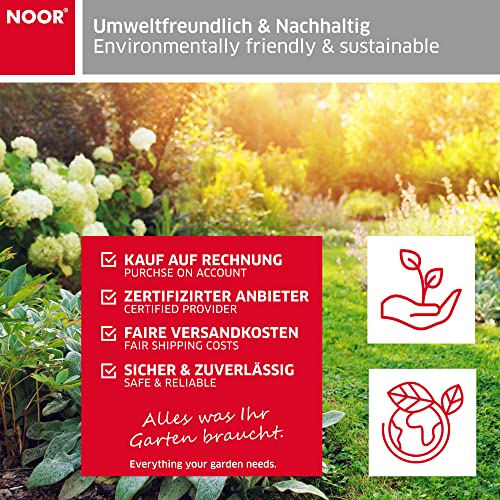 NOOR Palettenhaube für Gitterbox & Euro-Paletten 125 x 85 x 98 cm I Wasserdichte Abdeckplane mit Reißverschluss & Ösen I Reißfeste Abdeckhaube für Paletten-Boxen I Wetterresistente Folie I Transparent