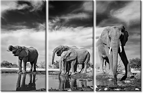 Miniatura 51 de 3 paneles de imágenes retro de cámara antigua, arte de pared sobre lienzo, pintura moderna para el hogar, decoración de pared, sala de estar, Obras