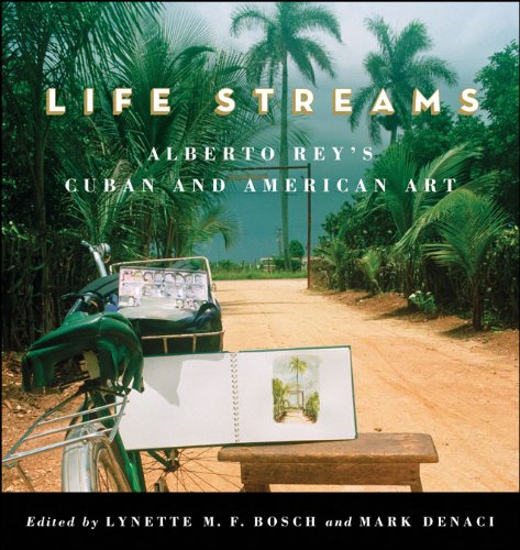 Livre Alberto Rey art cubain et américain pour collectionneur d'art SUNY