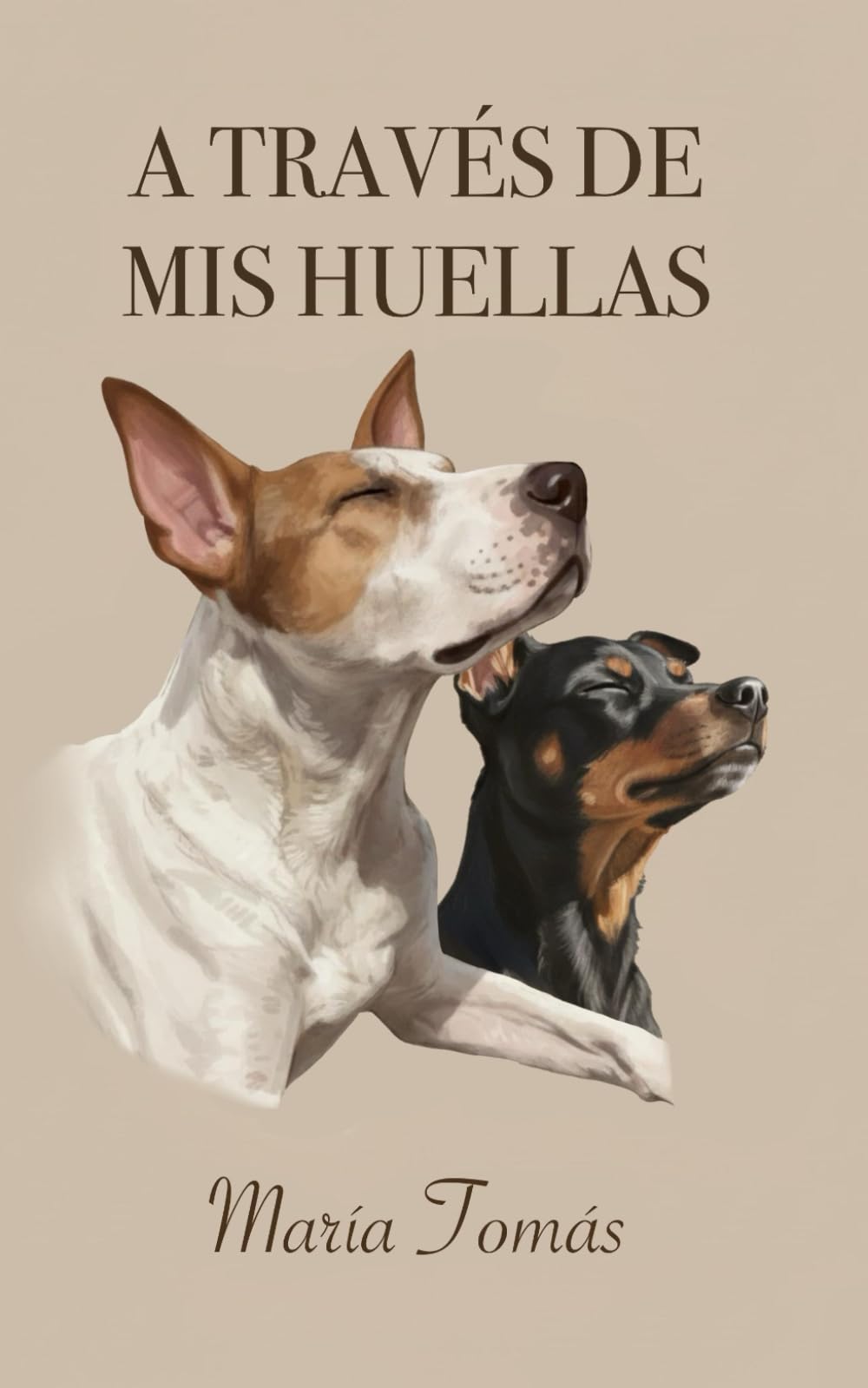 A través de mis huellas