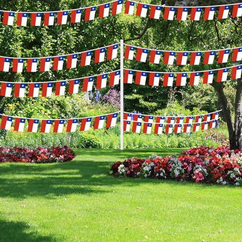 Image of AhfuLife 30 Pcs Chile String Flags for Independence Day Decorations, Small Chilean Flag Bunting Banner - Double Sided for National Day Festival Party Decorations (5.5x8.3 Inch-33 Ft)