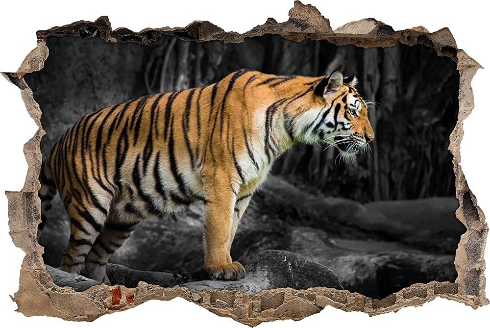 Calcomanía de Pared 3D tigre gruñendo sobre piedras Agujero Etiqueta de La Pared Adhesivos de Pared para Interior Hogar Sala de Estar Decoración de Oficina 80x120cm