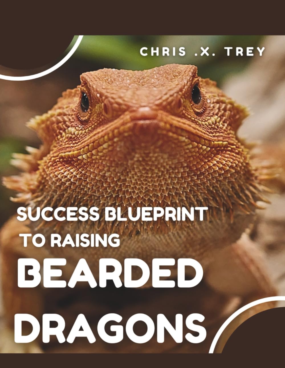 Success Blueprint to Raising Bearded Dragons