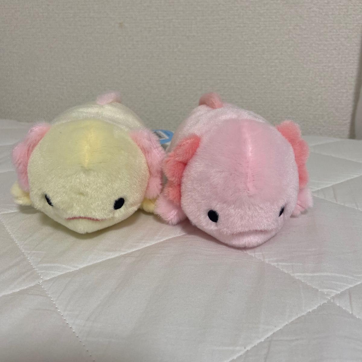 Amazon.co.jp: ウーパールーパー ぬいぐるみ にぎって！うーぱー