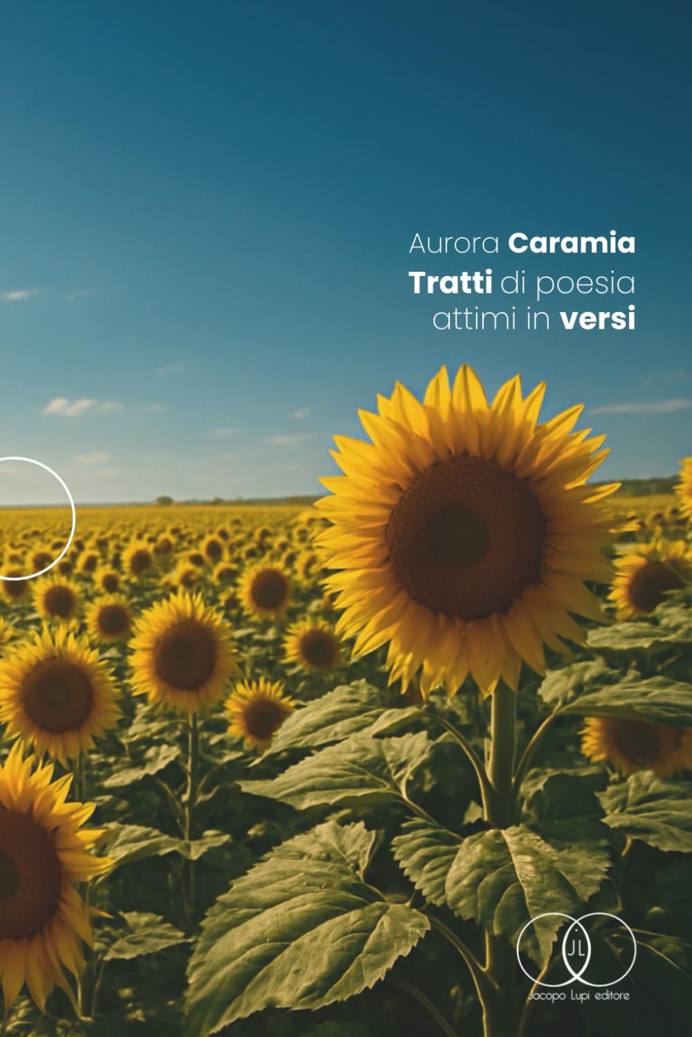 TRATTI DI POESIA: ATTIMI IN VERSI