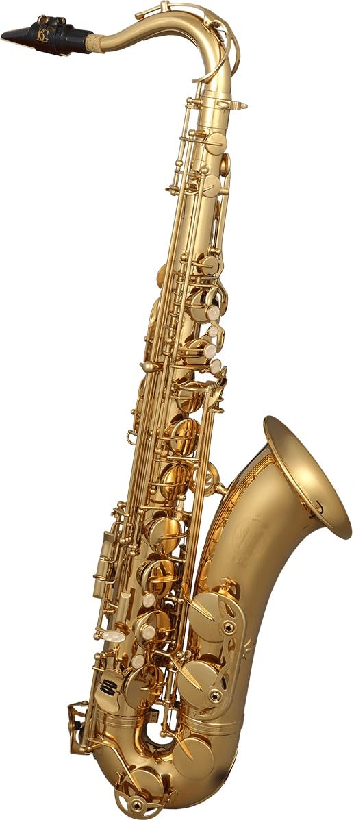 SML Paris VSM T420-II Bb Sassofono tenore in ottone laccato