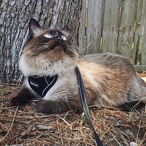 Cat Harness And Leash Set For Walking Escape Proof - Reflective Adjustable Cat Vest Harness For Small To Large Cat Puppy - Cute Black Mesh Breathable Soft Cat Full Body Harness #TOP2