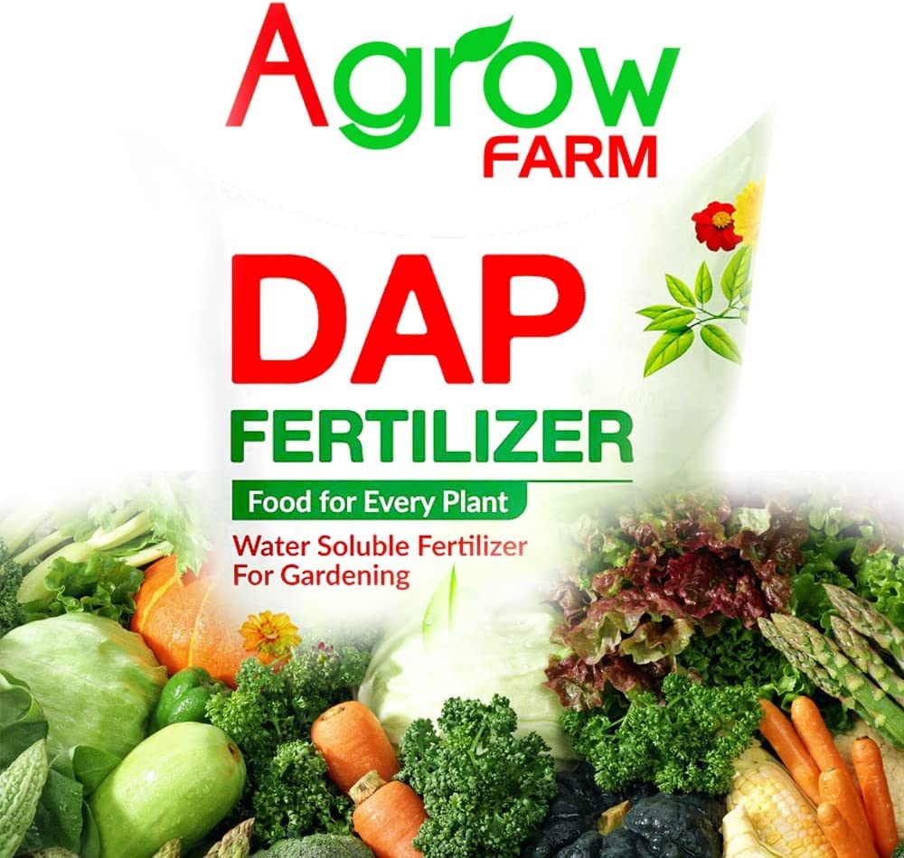 See full amazon price history chart for Agrow Farm™️ D-A-P Fertilizer for Plants - Di-Ammonium Phosphate - Water Soluble Fertilizer for Gardening - 450 GMS Agrow Farm™️ D-A-P Fertilizer for Plants - Di-Ammonium Phosphate - Water Soluble Fertilizer for Gardening - 450 GMS (B09ZHB1P8M) Amazon Price History, Amazon Price Tracker