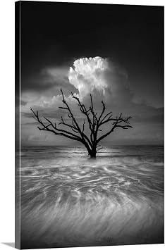 GREATBIGCANVAS Oceanus Canvas Wall Art Print by Chris Moore, Coastal, Home Decor, Black and White, Bw Artwork, 20"x30in "
