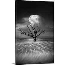 GREATBIGCANVAS Oceanus Canvas Wall Art Print by Chris Moore, Coastal, Home Decor, Black and White, Bw Artwork, 24"x36in "