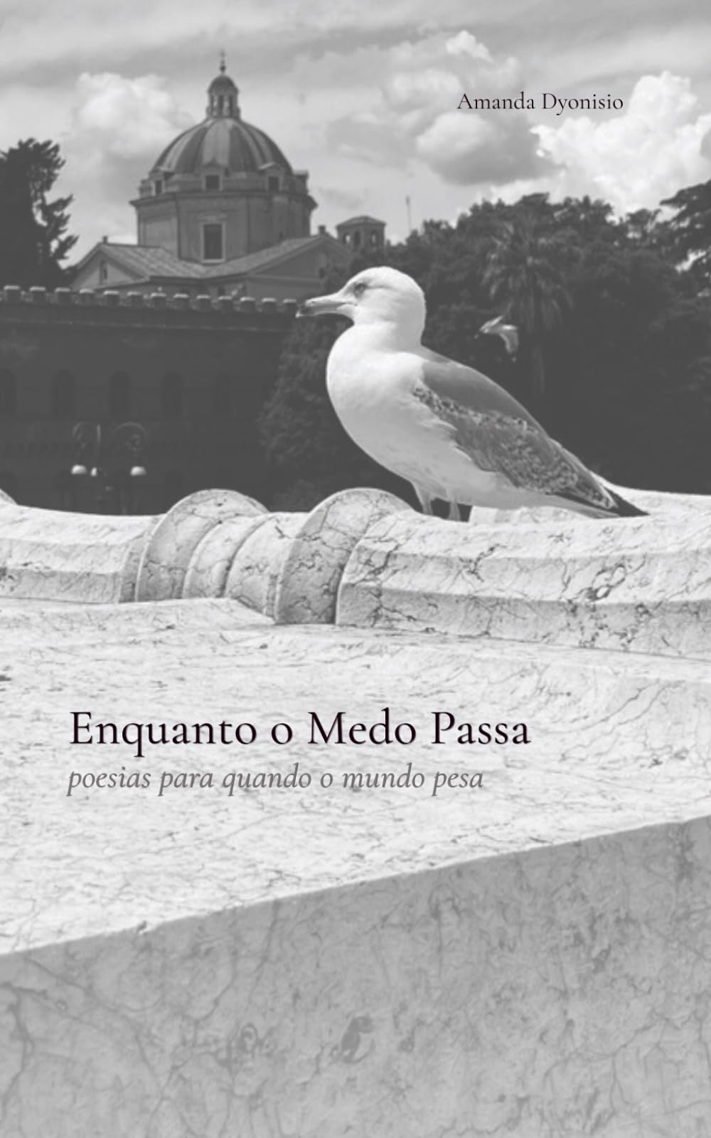 Enquanto o Medo Passa: poemas para quando o mundo pesa