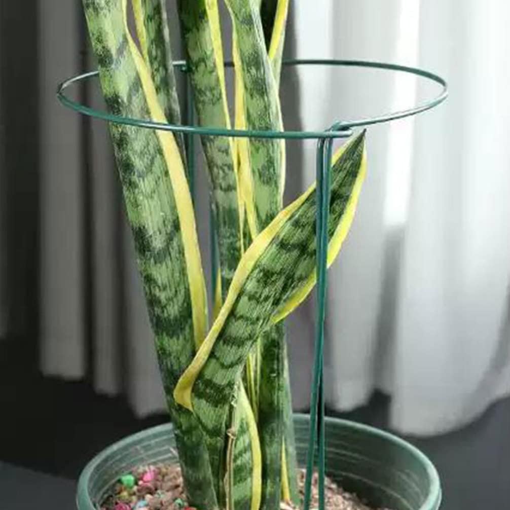 8pcs Plant Support Frame Climbing Plants Cucumber cage Vine Climbing Stand Support Ring cage Supports Cucumbers Peony DIY Support Iron Potted Orchid