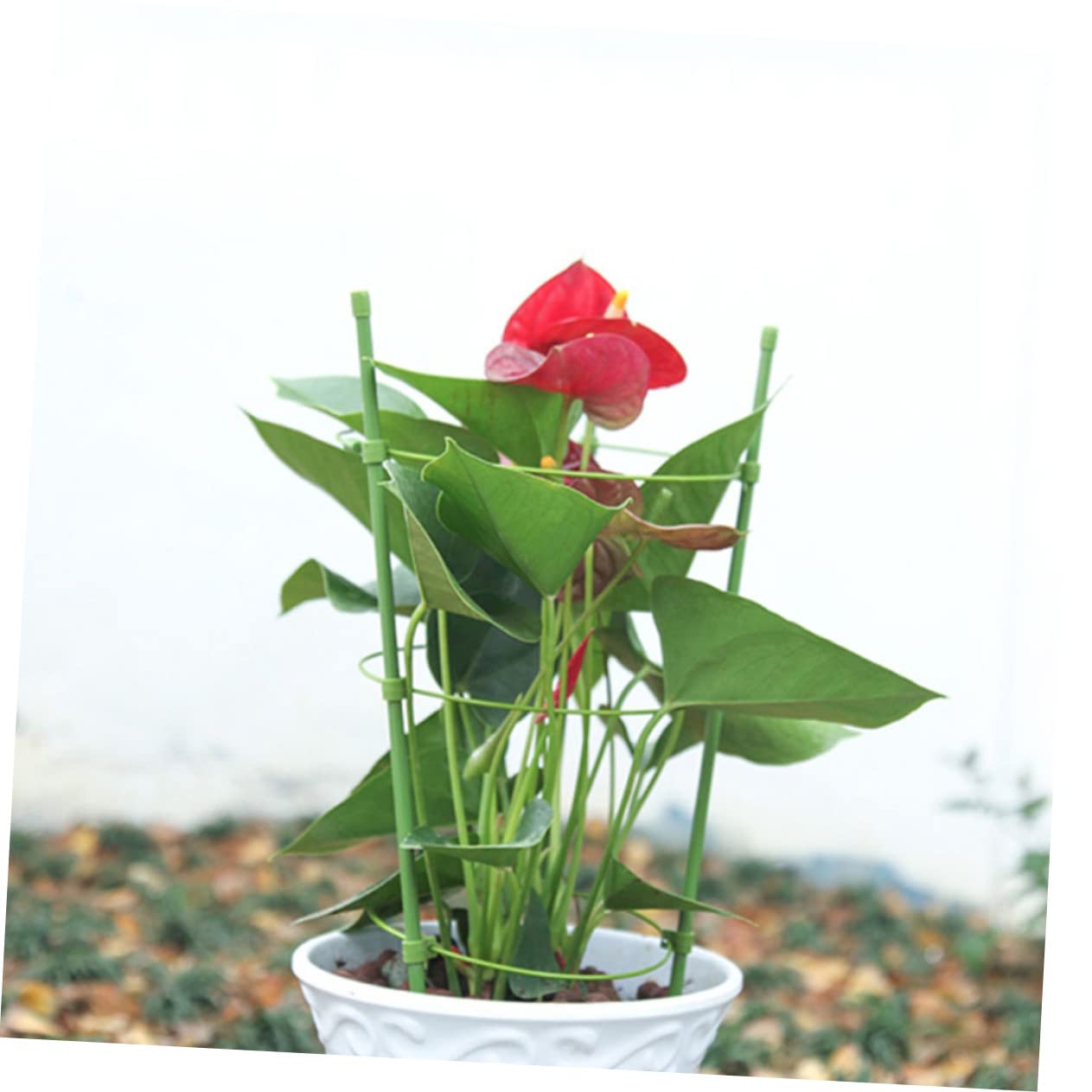 3ensembles Cages à Plastifié Supports pour Plantes Grimpantes Treillis Durable Et Aux Intempéries pour Légumes Et Fleurs