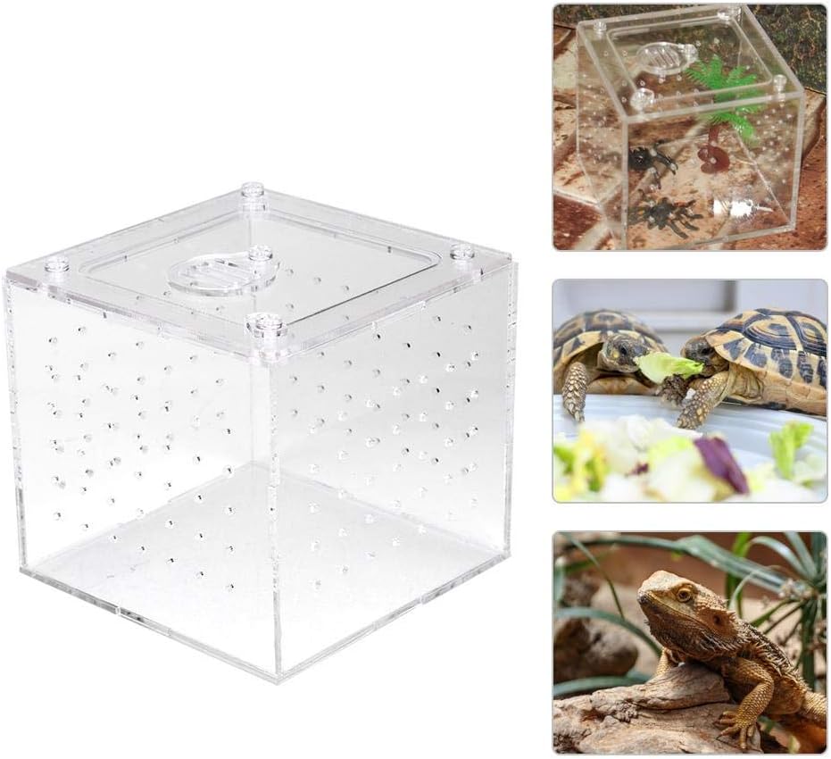 Acrylic Reptile Feeding Box and Breeding Terrarium - Cricket Keeper Insect House for Snakes Lizards Chameleons Frogs Crickets